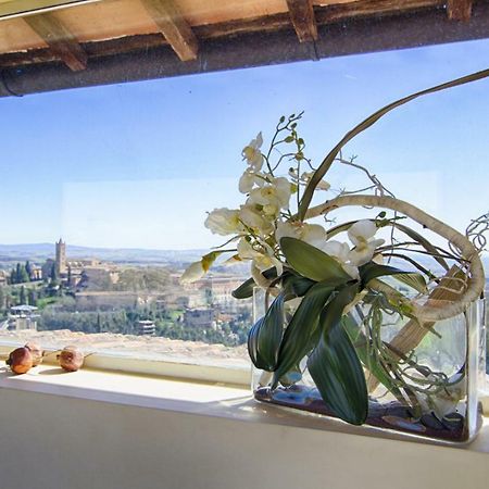 Apartament Rinidia - Siena Centro Zewnętrze zdjęcie